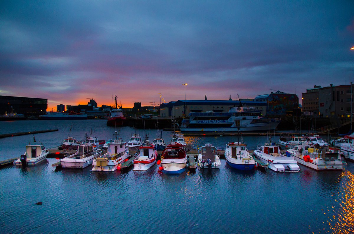 Early morning at the port of Reykjavik